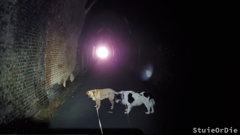 blue ridge tunnel 4