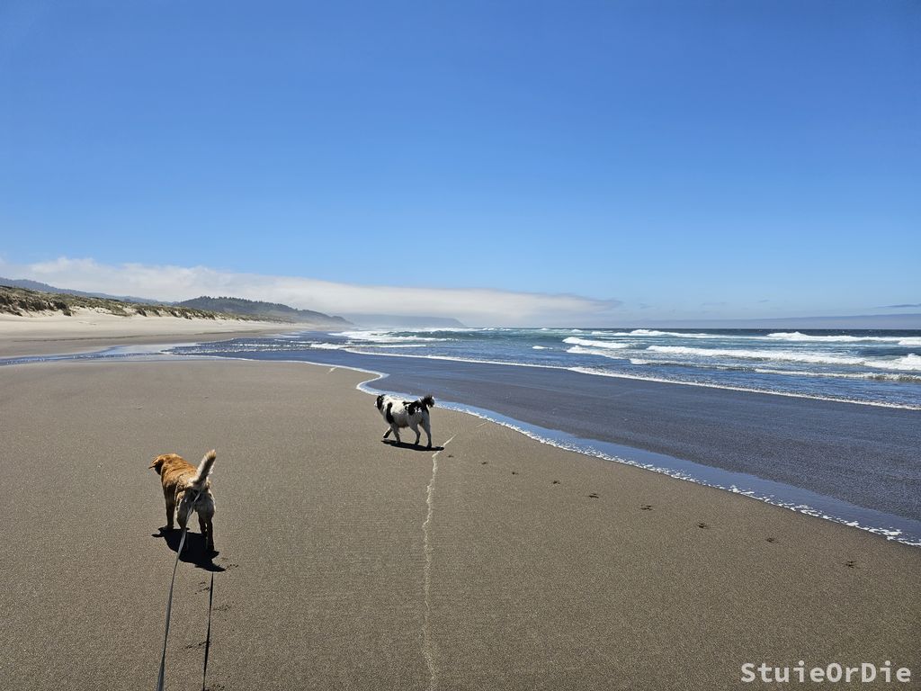 bob straub state park beach